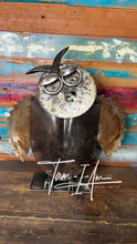 Load image into Gallery viewer, Spotty the Shovel Owl repurposed reclaimed metals art piece
